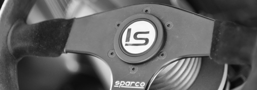 Phasellus vel facilisis tortor